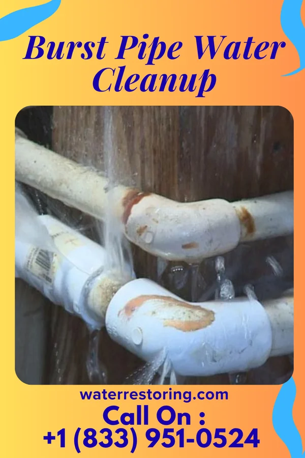 Burst Pipe Water Cleanup in Batavia, WI