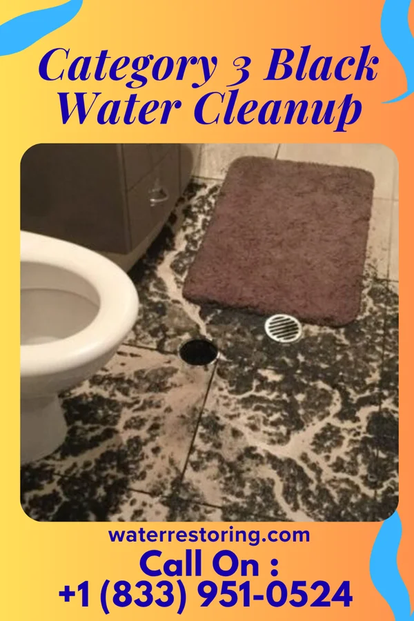 Category 3 Black Water Cleanup in Batavia, WI