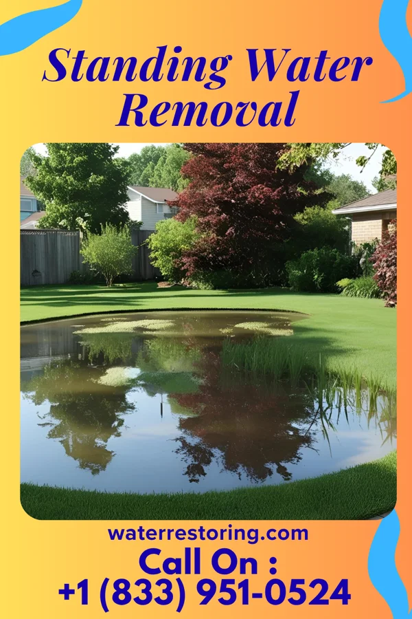 Standing Water Removal in Batavia, WI